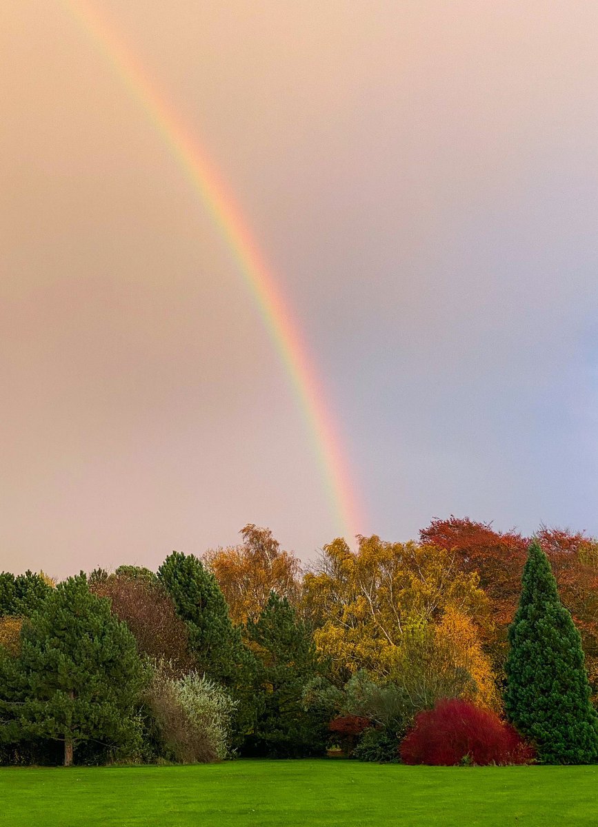 florenceparkpix's tweet photo. Gorgeous rainbow park pix @hedgehoghugh #rainbow #loveparks #lovinitlocal https://t.co/GhBV7OZYlE