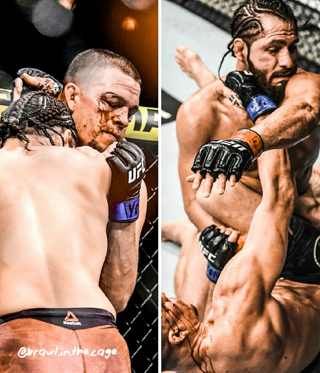 Brawl in the Cage tweet media