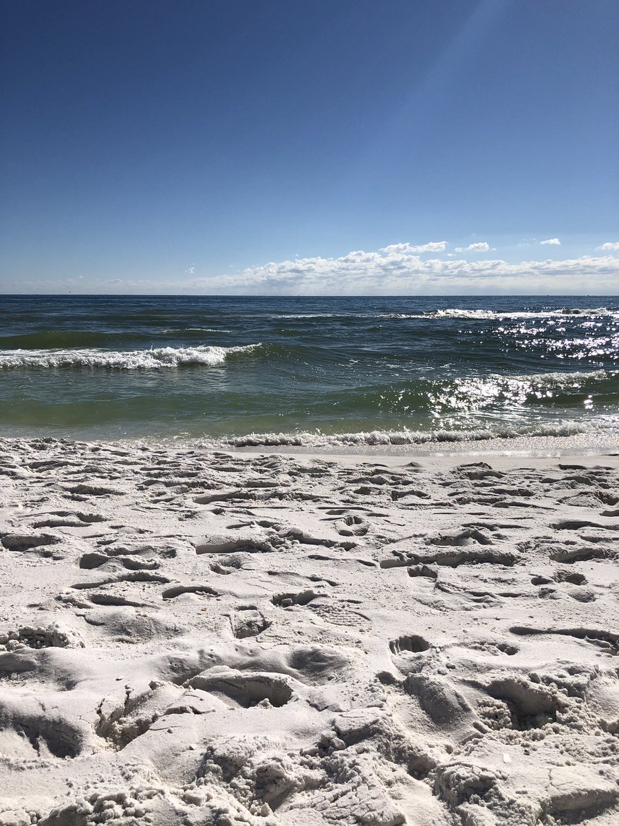 Potthoff's tweet photo. What a fun weekend in Florida, congrats again to my great friend @Yahshuaaa! It was an honor to be a part of your special day with Sadie 😎

I’m eager to get back to the work grind tomorrow at @eUnited https://t.co/mLyDALMS6n