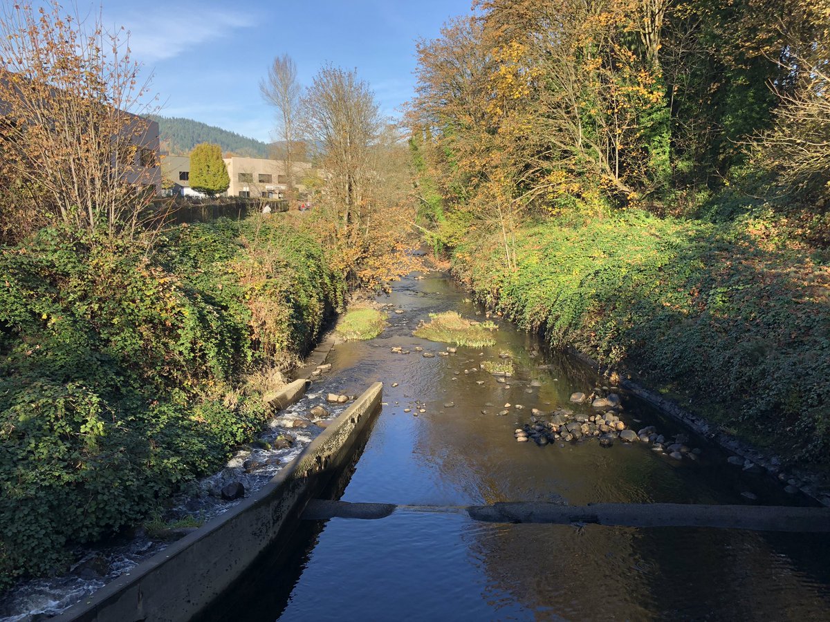 Burnaby Lake Park tweet media