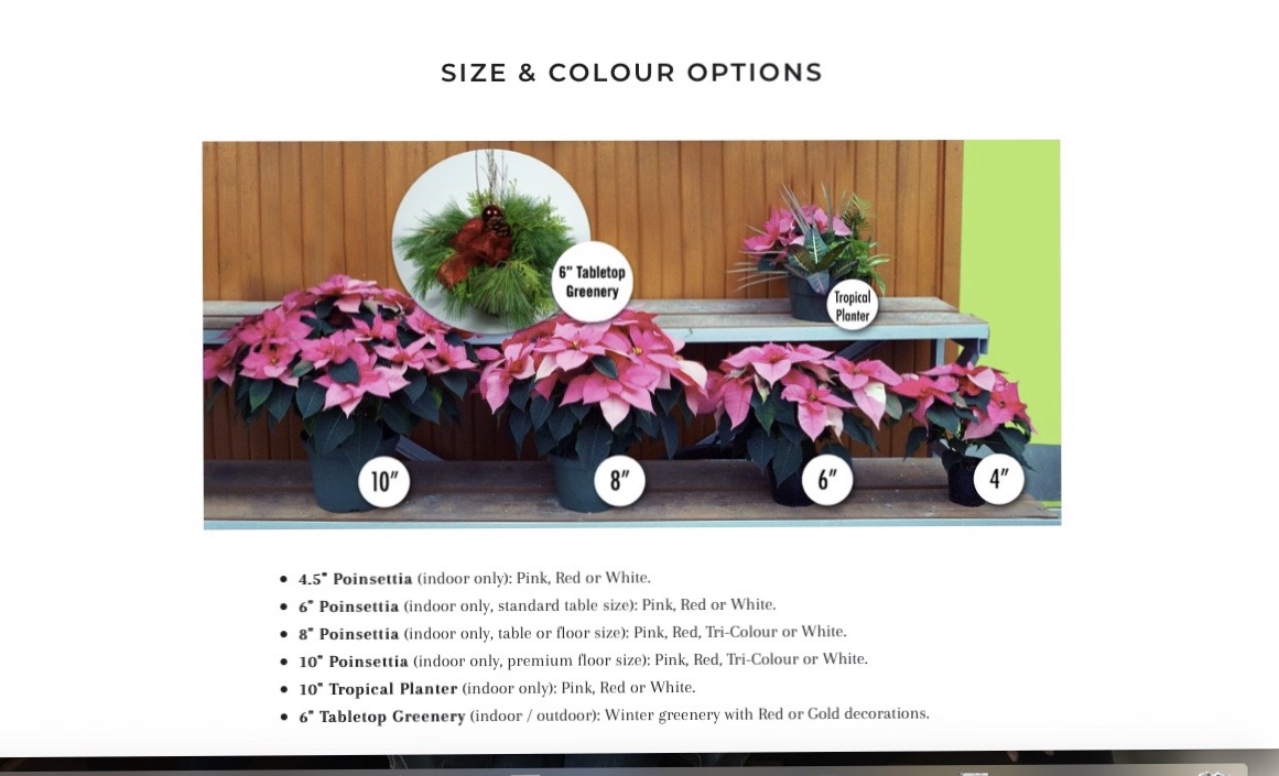 Bereaved Families of Ontario-York Region tweet media