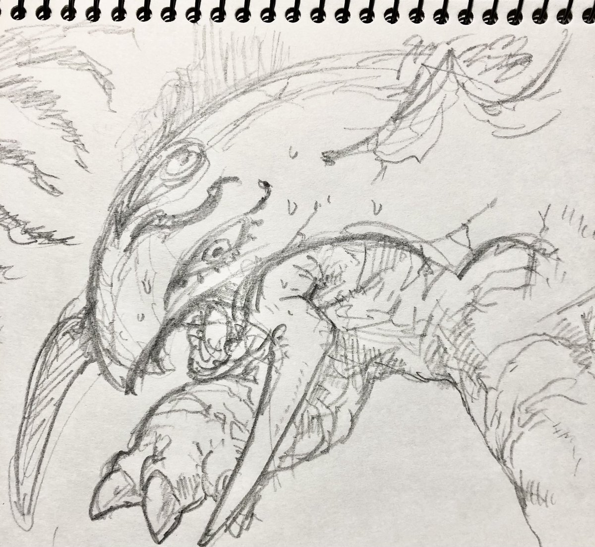 #セトモンと生活
セトモンは うろたえている … 