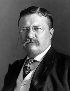 1904 saw moustache v moustache at the top and beard v beard for VP, with Roosevelt and Carles W. Fairbanks defeating Alton Parker and 80-year-old Henry Gassaway Davis.