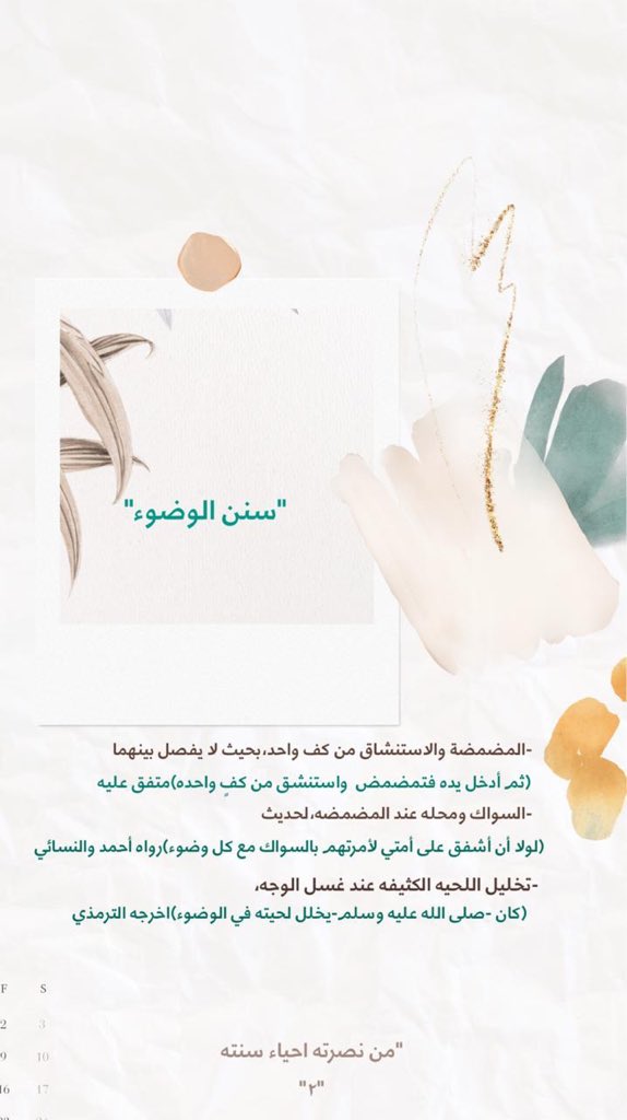 #نصرة_رسول_الله 

"من نصرته إحياء سنته"🤍🌱
"٢"