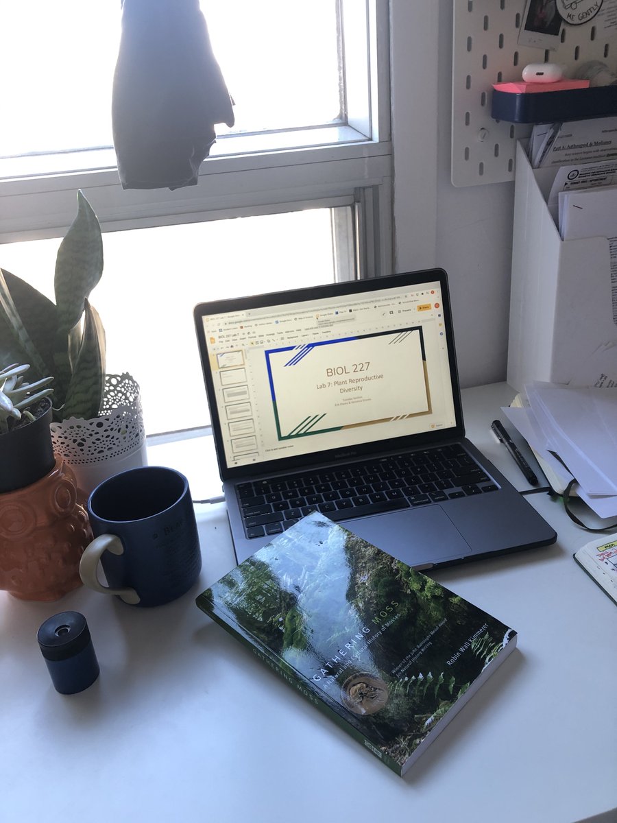 VeronicaGroves7's tweet photo. It's #PlantWeek in BIOL 227 @biologyatCU! Excited to share some tidbits from #GatheringMoss in hopes of inspiring students to 'look down' & take a closer look at the plants around us. Any 'fun facts' that make you excited about plants? Comment below ⬇️ https://t.co/58FjoIail7