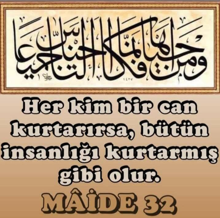 Rabbim depremde bir taş kaldıran bir bardak su veren her kardeşimizden razı olsun