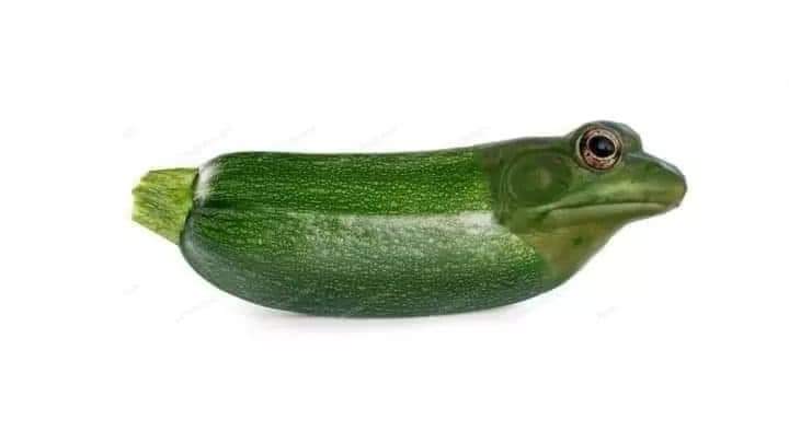 żaby owoce i warzywaa thread~