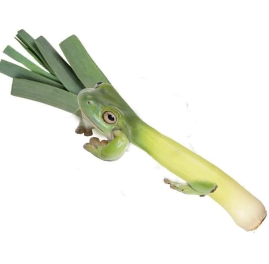 żaby owoce i warzywaa thread~