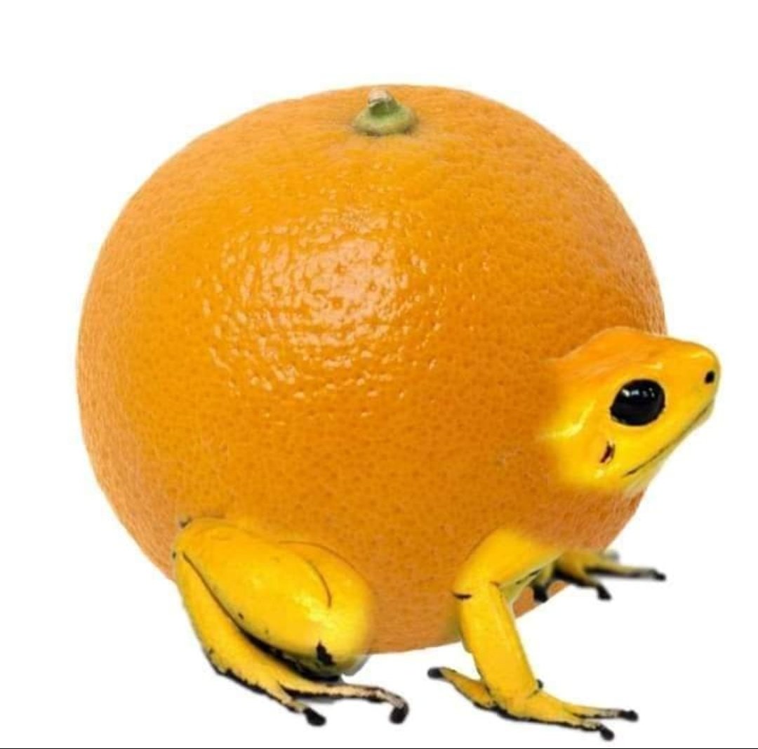 żaby owoce i warzywaa thread~