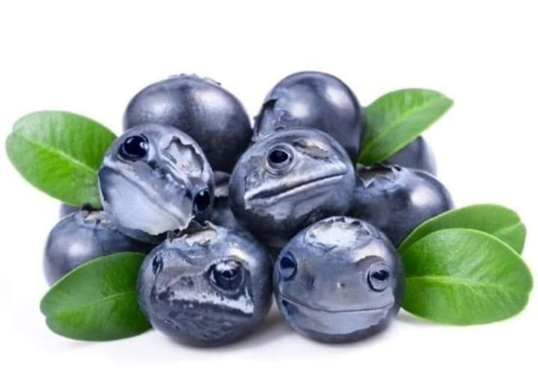 żaby owoce i warzywaa thread~