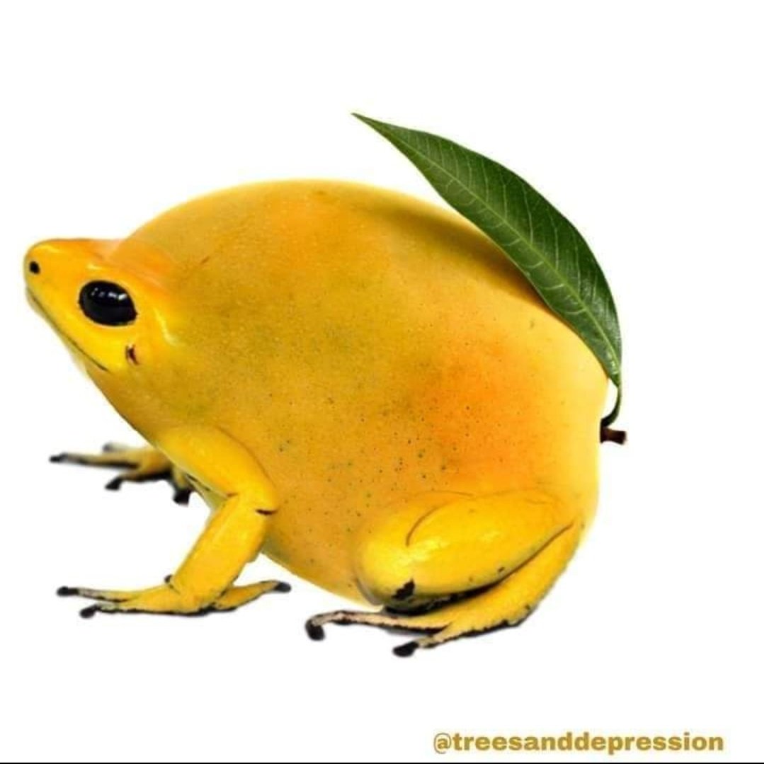 żaby owoce i warzywaa thread~