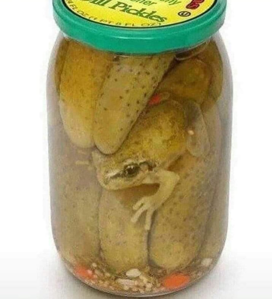 żaby owoce i warzywaa thread~