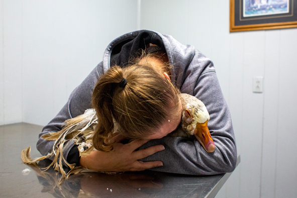 mtnworkshops's tweet photo. Congratulations to Lauren Santucci for placing Silver in the #CPOY Feature division!
Her award-winning image was taken during the 2019 Mountain Workshop in Harrison County.
https://t.co/51hvDgazSh 
@santucci_lauren
@laurensantucci
https://t.co/2cfrWJraRS
https://t.co/PdNnwFzltC https://t.co/IidCzYCNgm