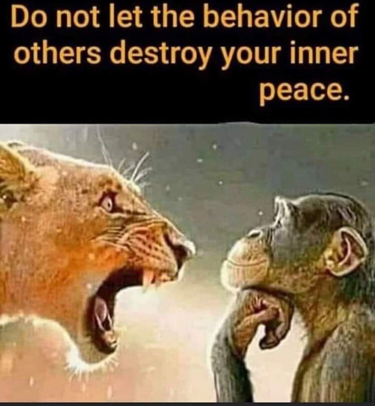 🧘 
stillwaterfloat.ca