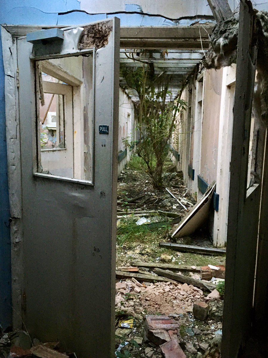 Practising daily gratitude as part of November’s #teacher5aday #photo #livethankfulcampaign - Day 2 Nature: this is #RAFNoctonHall which is inspiration for my art practice, I love seeing how nature reclaims derelict buildings 🧡 <a href="/teacher5aday/">#teacher5aday</a> <a href="/drlucykelly/">Lucy Kelly</a> #wellbeing