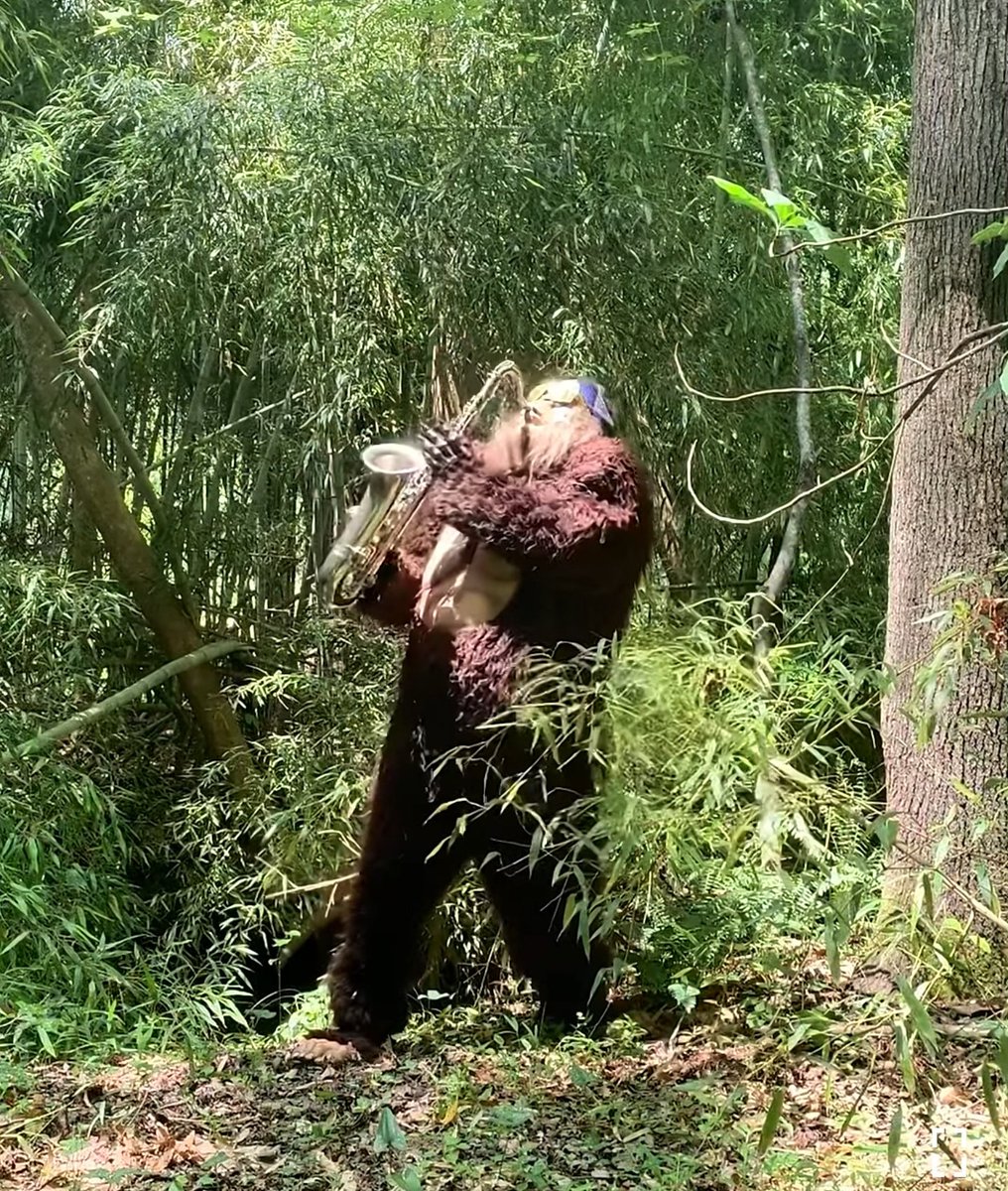 gratethecheese's tweet photo. Are we all gonna just ignore that there's a YouTube channel called Saxsquatch? https://t.co/2a7P5C66Be