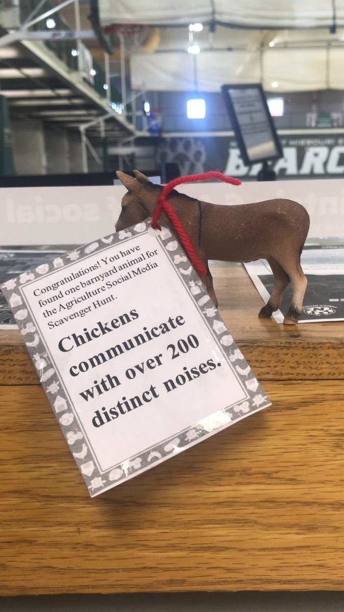 HamanMichael's tweet photo. Did anyone know that Chickens communicate with over 200 distinct noises? I didn’t but now that I completed the Agricultural Social Media Hunt I do. Look for little animals around campus like this one I found at the Joyce and Harvey White International Plaza #nwagsmshunt https://t.co/WLc8MnNoEj