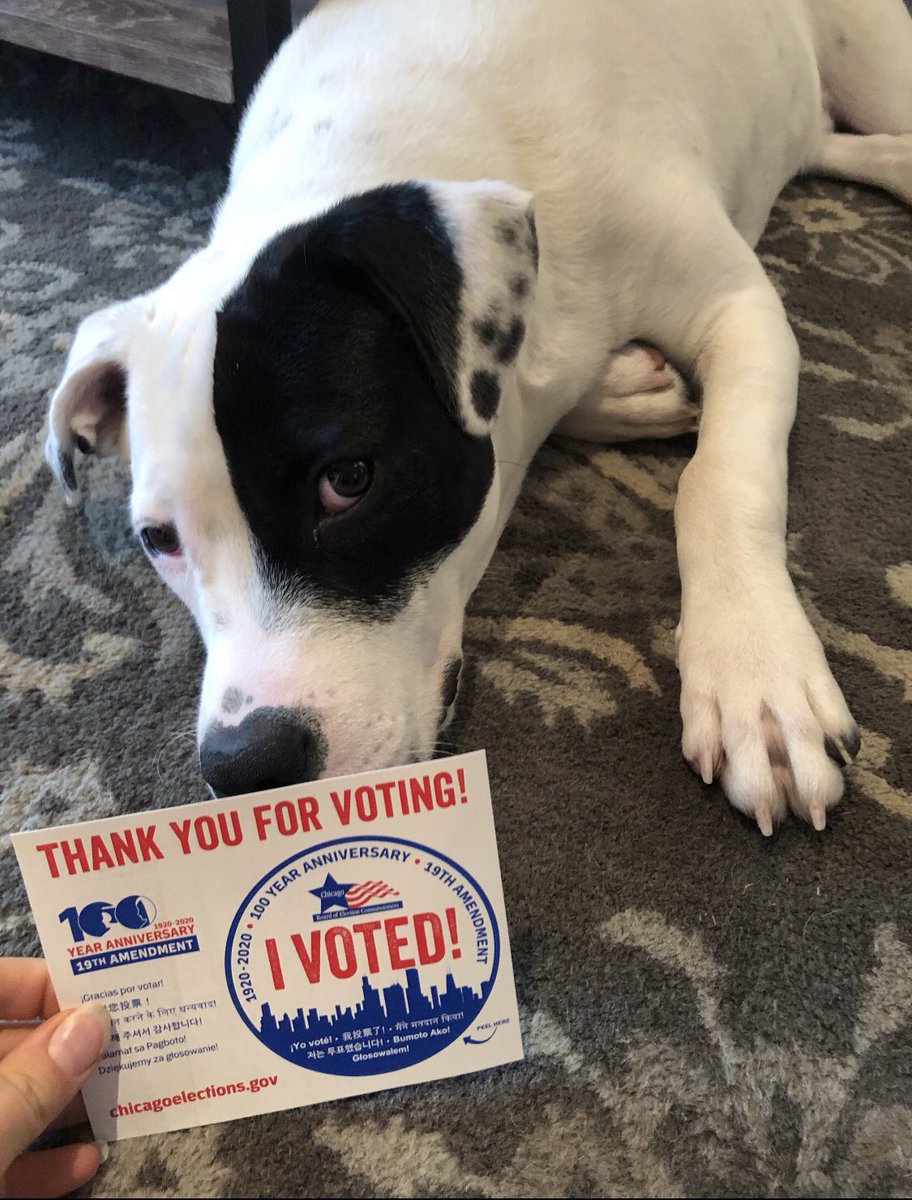 Education is more important than ever and #election2020 is the time to have your voice heard! Cast your #vote2020 to influence the future for children across the U.S.