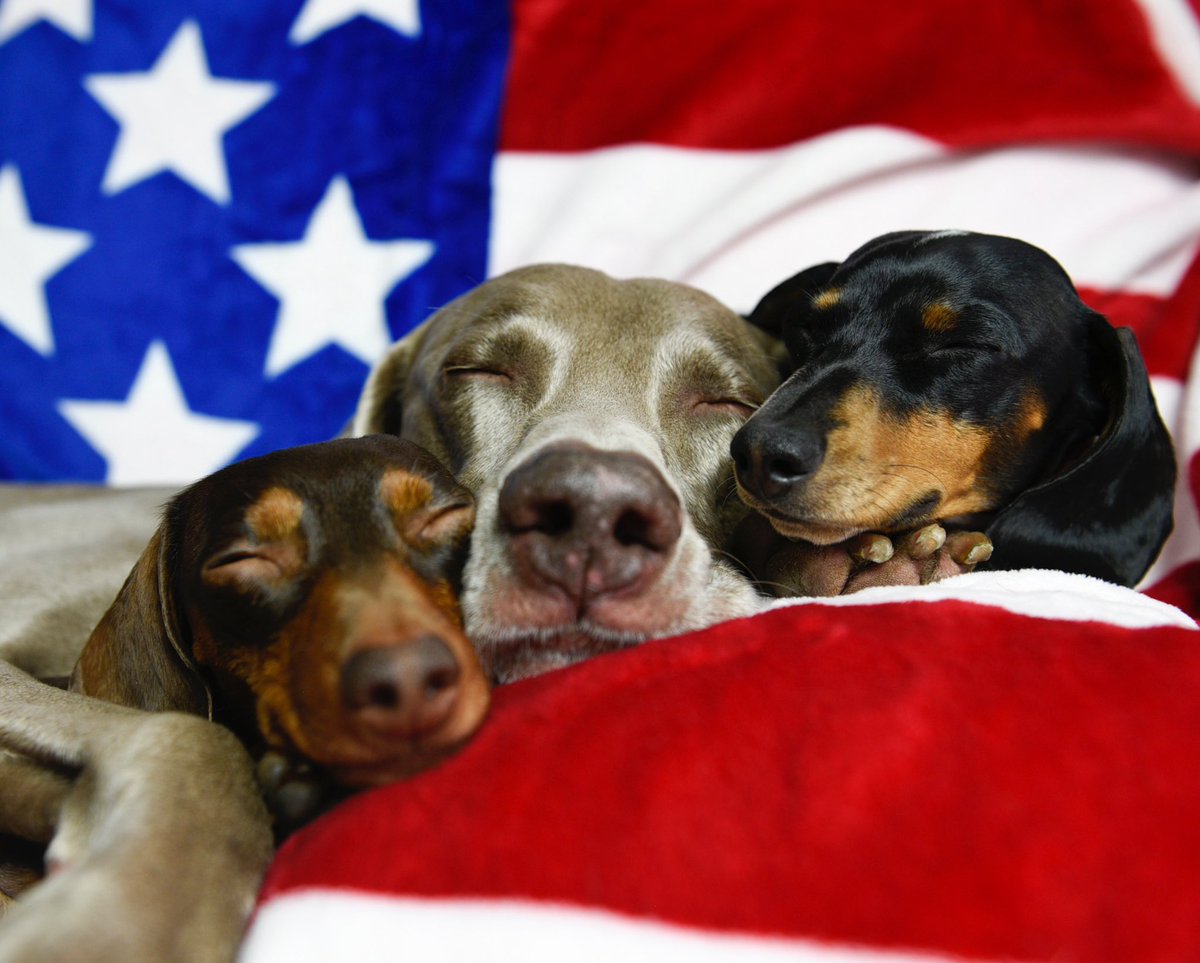 Don’t Snooze, VOTE!