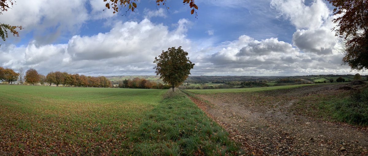 MissKMcD's tweet photo. #teacher5aday #photo challenge #nature - some snaps from half term 🍁 🍂  #nicember #diarytoolkit https://t.co/pYhb7B8Hq1