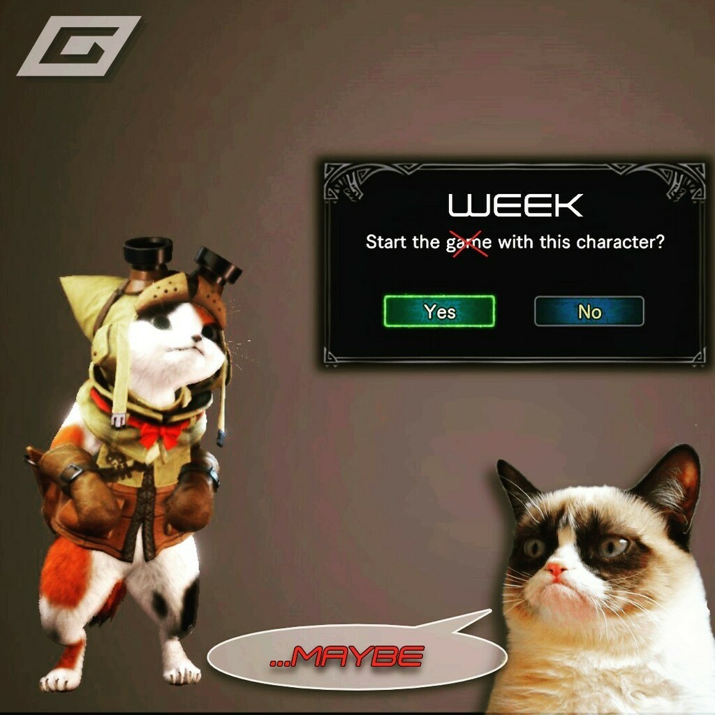 gamondo's tweet photo. Sooo, wie fangen wir die Woche an? 🤔

#monday #montag #starttheweek #monsterhunter #grumpycat #maybe #gaming #gamondo https://t.co/gomS57wkdT
