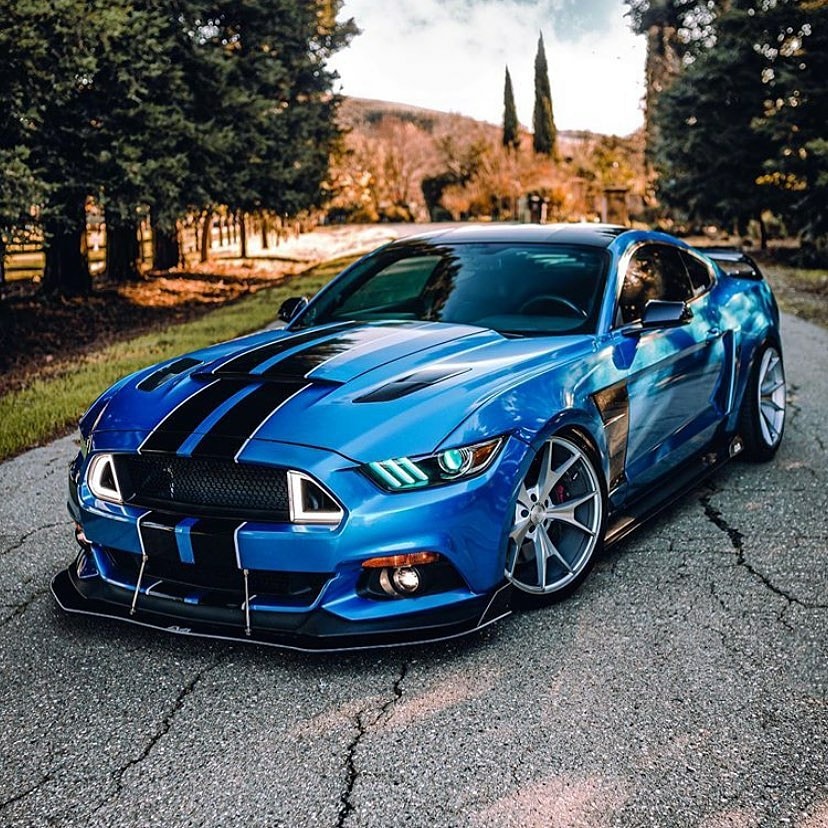 hotroddepotlv's tweet photo. Electric 1🔥🔥🔥
❤ COMMENT 👇
.
Follow @hotroddepotlv
.
#hotrod #hotroddepot #hotrodparts #lasvegas
#mustanghunters #ford #mustang #fordmustang #mustanggt #shelby #gt500 #gt350 #gt350r #stance #s550 #blue #lightningblue https://t.co/f30LPBZ2nl