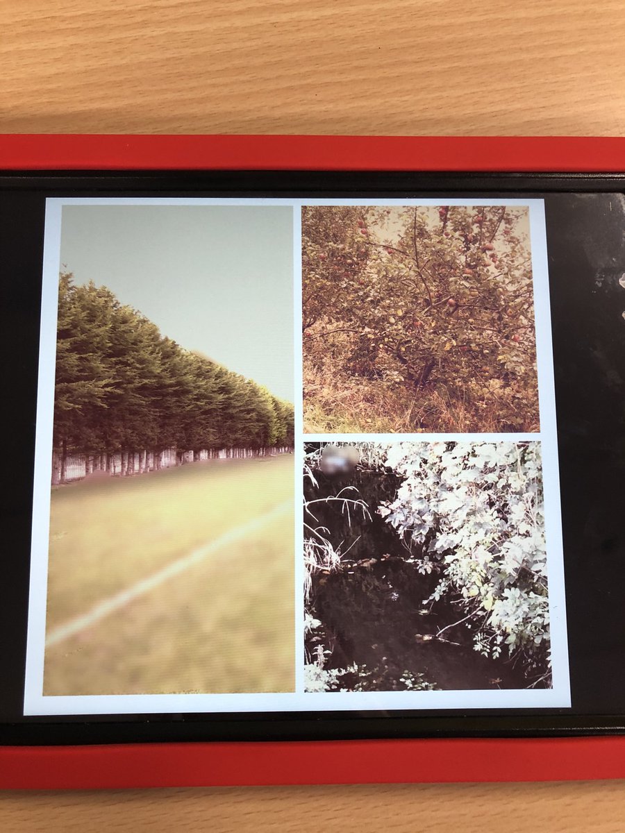DringhousesPS's tweet photo. Class 11 enjoyed being in the great outdoors taking Autumn themed photos as part of their digital art project. We then edited our photos using PicStich. Take a look at some of our end products (which we think are pretty great!) #DringArt #DringComputing https://t.co/8uri2yl1bX