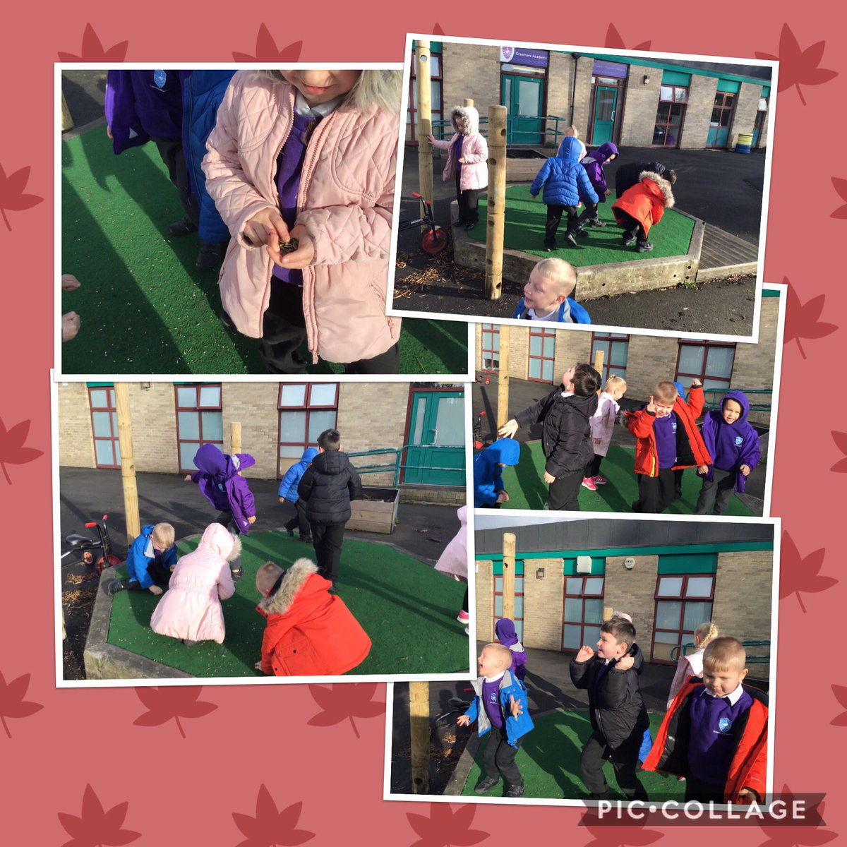 Ducklings tweet media