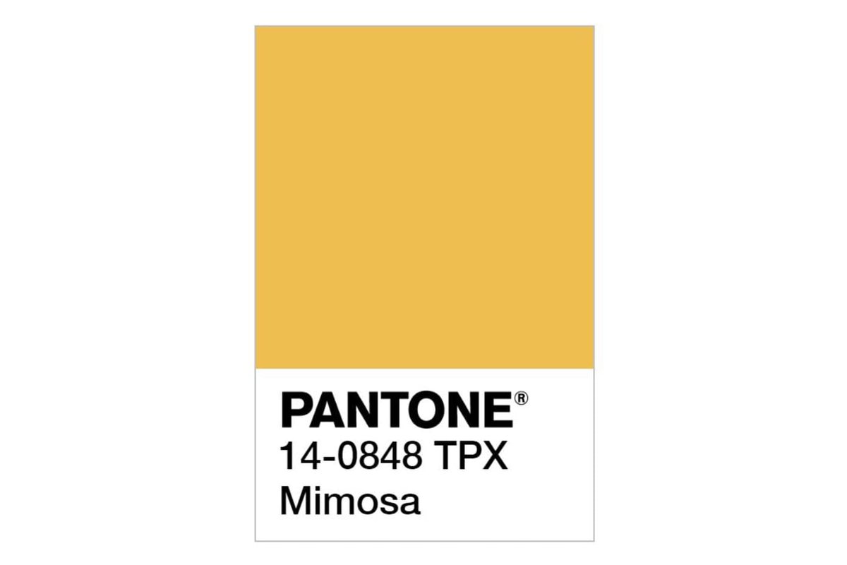 Mimosa 14-0848 (2009) h*ck yess the color of the year is p*ss, happy 2009 everyone. Mimosa my aunt fanny. 9.5/10.