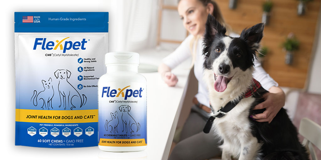 Pets love the taste of Flexpet soft chews and pet owners love to see their cats and dogs with healthy joints again.
Improve the quality of your pet’s life now.
Shop at flexpet.com #dogs #doghealth #jointcare #petpainrelief