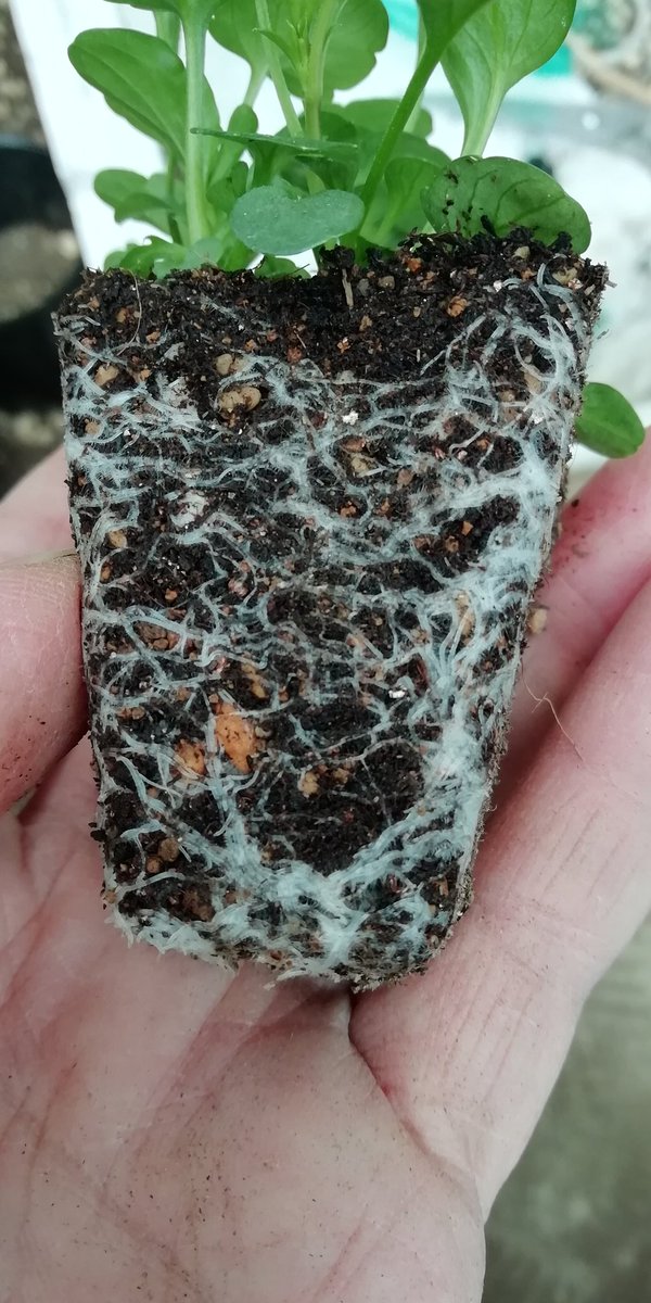 9d E4 B8 8a 81 92 Twitter Search