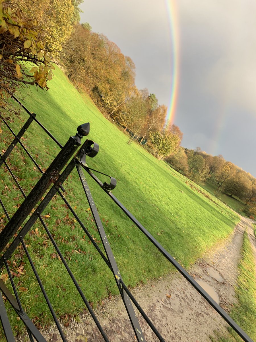 Positive Bradford tweet media