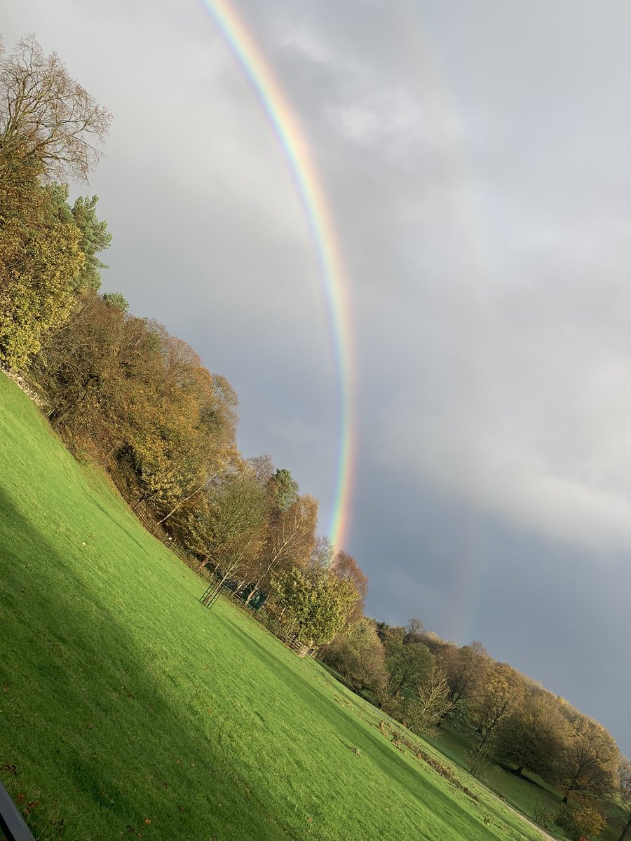 Positive Bradford tweet media