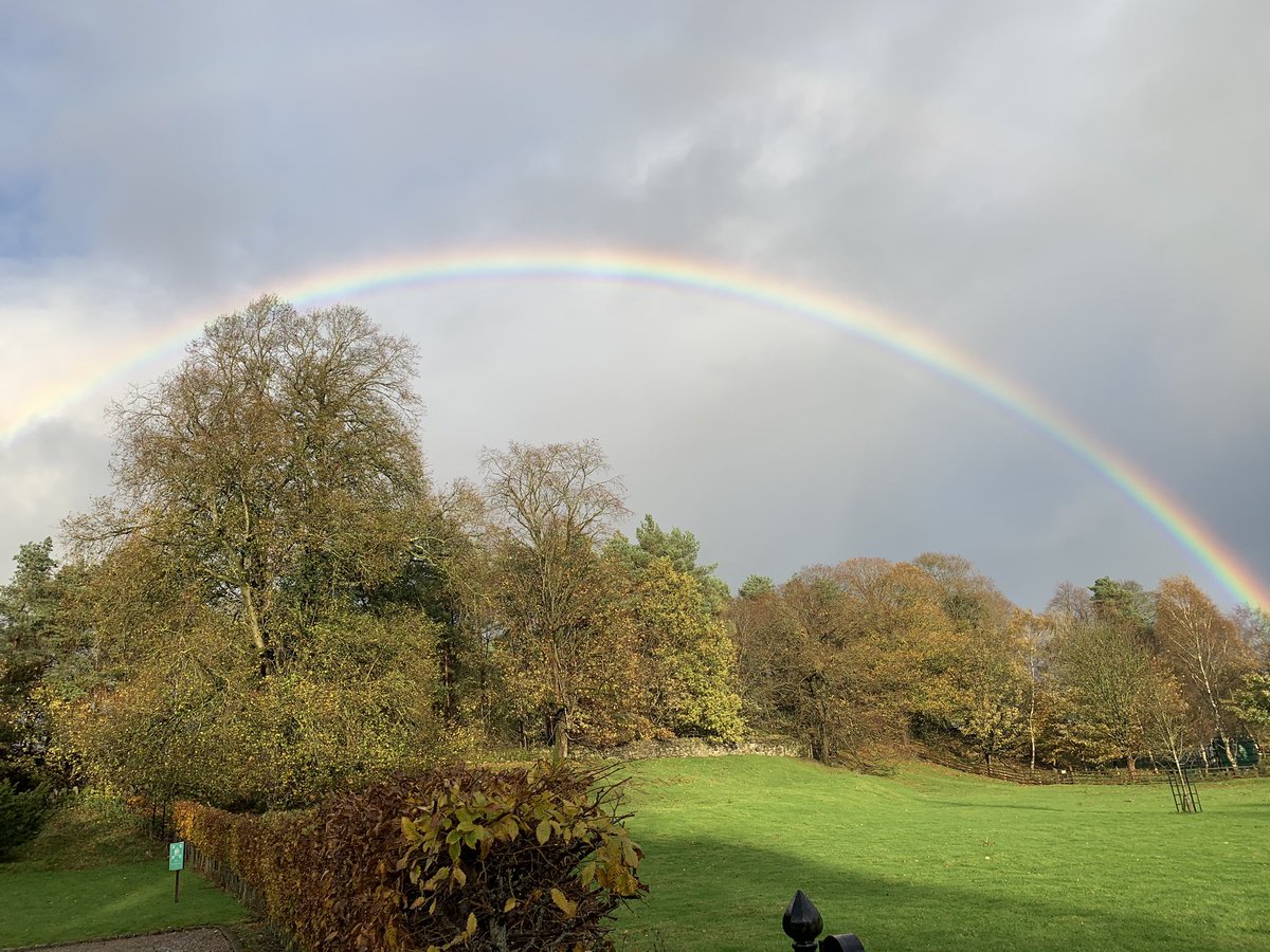 Positive Bradford tweet media