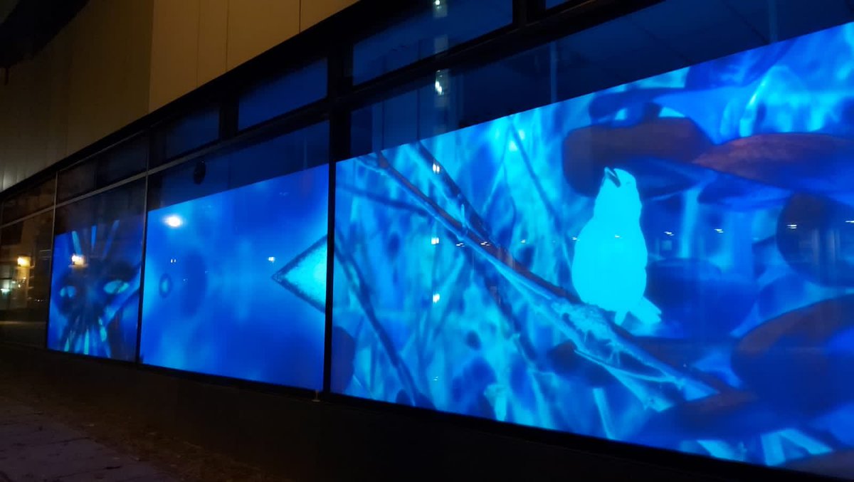 hpknudsenq's tweet photo. ⁦@CancilleriaCol⁩ presente en ⁦@BerlinSciWeek⁩ con nuestra diversidad de fauna (aves) y flora. “Unibirds: visiones de confluencias ancestrales y científicas a través del arte”. ⁦@PROCOLOMBIACO⁩ ⁦@FlaviaSantoroT⁩ https://t.co/qNgKFNPJtU