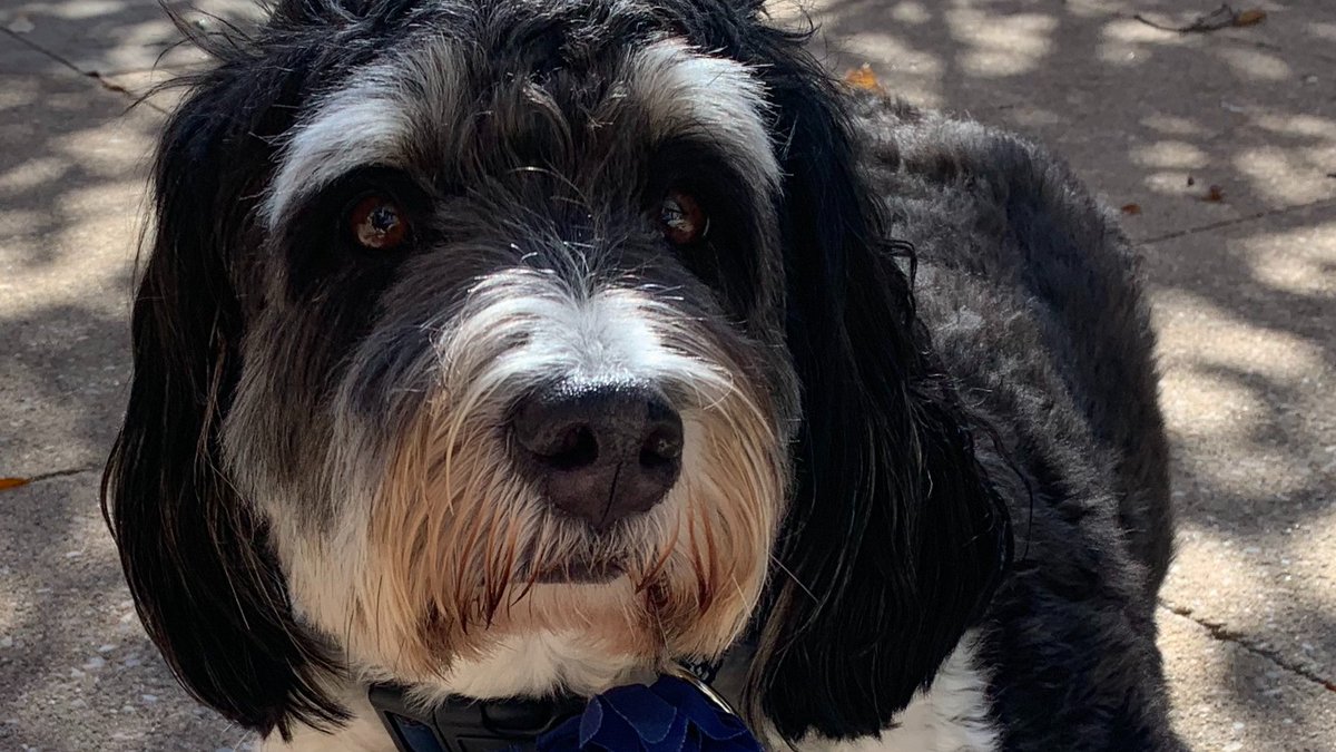 Bethanie Danko tweet media