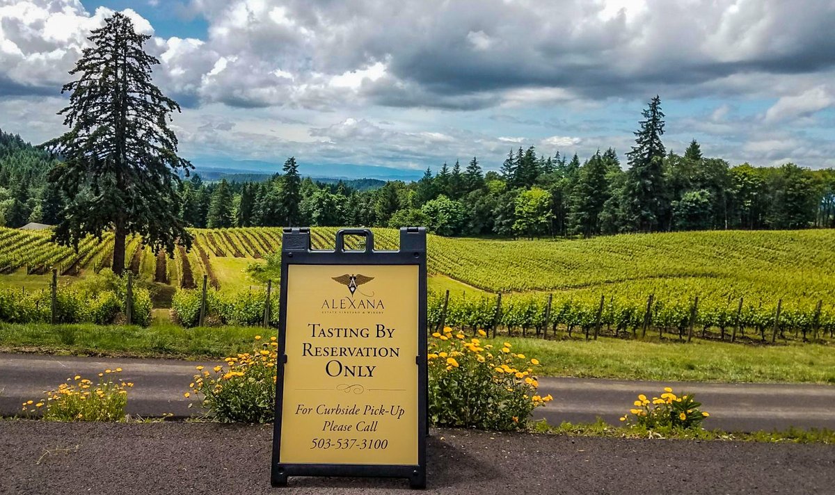 Alexana Vineyard 2025