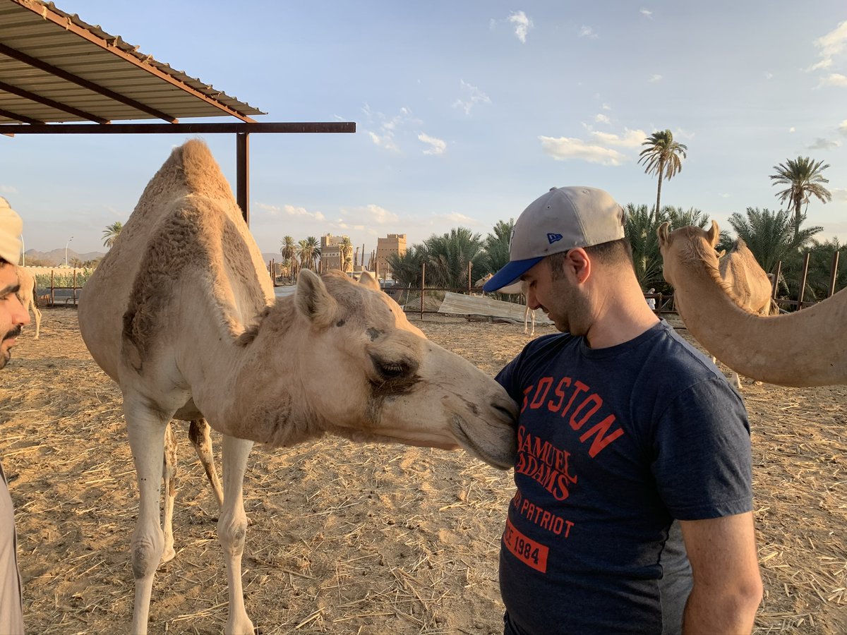 AutourduM's tweet photo. Have you ever tasted #camel 🐪milk? This is the luck we had during our visit to #Najran. Friendly breeders showed us around their farm. Funny time in #KSA 🇸🇦.
▶️https://t.co/P0yvFLIgBr
#visitksa #SaudiArabia
@allanoudd1 @alsaadmana @DrFaisalghufina https://t.co/nCI3n23Jhs