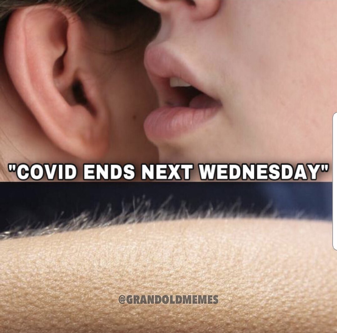 nickssworld's tweet photo. Can’t wait till this Wednesday😂 https://t.co/1LcQh8BKUS