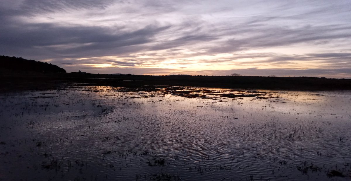 JorvikLass's tweet photo. High tide at #Belhaven & #Hedderwick made an otherworldly waterworld today - sea-ripples and sky-swirls echoing each other. And for walkies today, lovely company from @RenateKriegler & Spike π© β₯ π #EastLothian #Volunteering #MuddyAndHappy #NoTennisBallsWereLost https://t.co/f7Ld1wpAcv