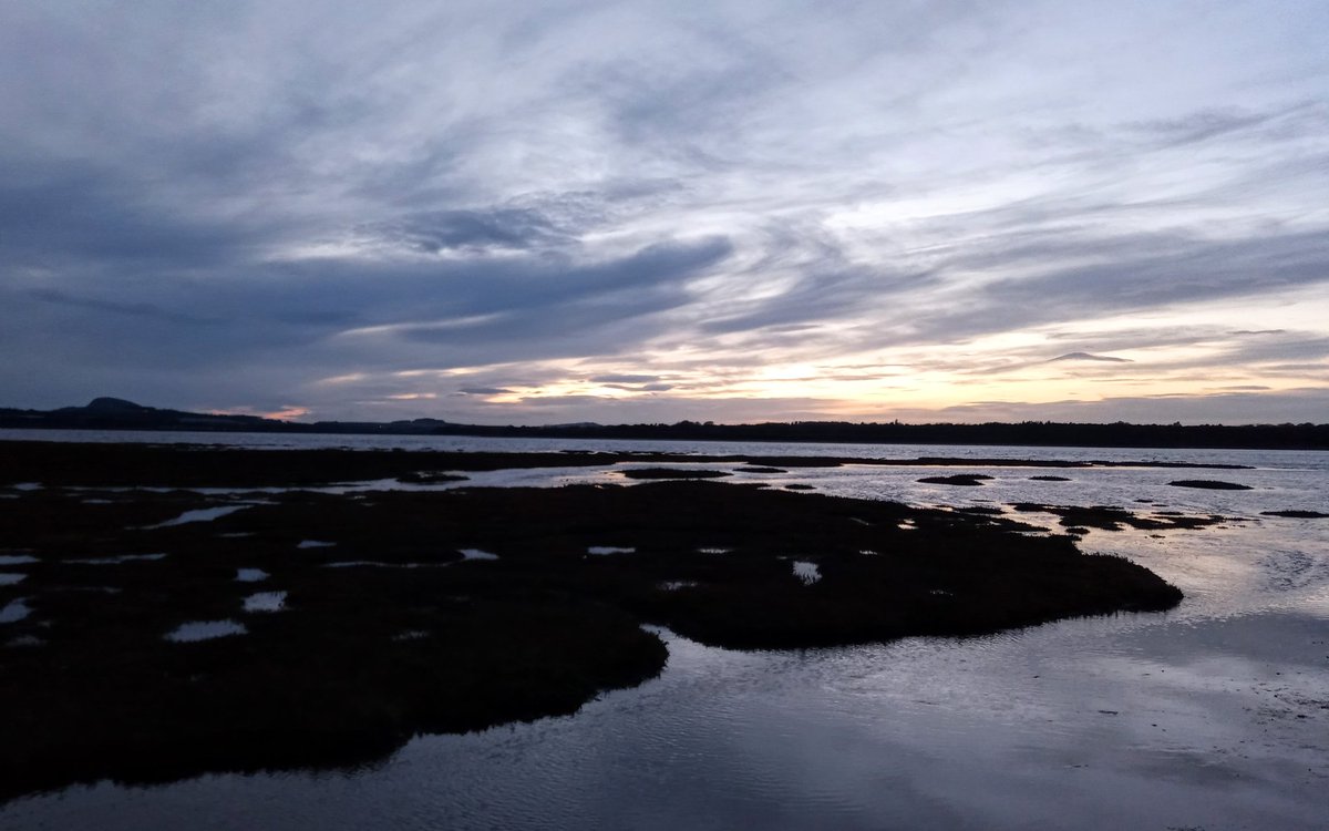 JorvikLass's tweet photo. High tide at #Belhaven & #Hedderwick made an otherworldly waterworld today - sea-ripples and sky-swirls echoing each other. And for walkies today, lovely company from @RenateKriegler & Spike π© β₯ π #EastLothian #Volunteering #MuddyAndHappy #NoTennisBallsWereLost https://t.co/f7Ld1wpAcv