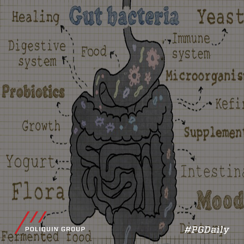 PoliquinGroup's tweet photo. #PGDaily gives you 10 simple tips to support your gut integrity.

https://t.co/3EodtMcYCj

#gut #health #sugar #nutrition #stress #recovery #exercise #gutlining #protein #probiotics #prebiotics #supplements #poliquin #poliquingroup #pg https://t.co/Xk3LDHXUhN