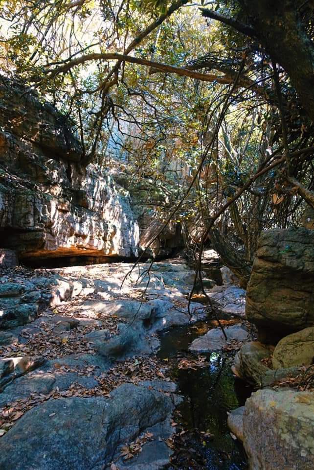 TheWolvesAdven1's tweet photo. here it is..Kraanskloof adventure hiking this coming weekend 7th November 2020 https://t.co/yAWbrXZb3f