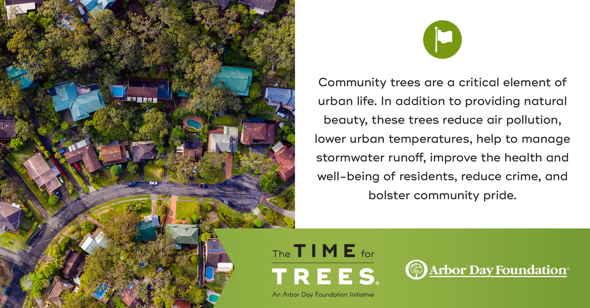 arborday's tweet image. The #TimeForTrees is now. They are an important part of the solution to many critical issues facing the planet and humankind.