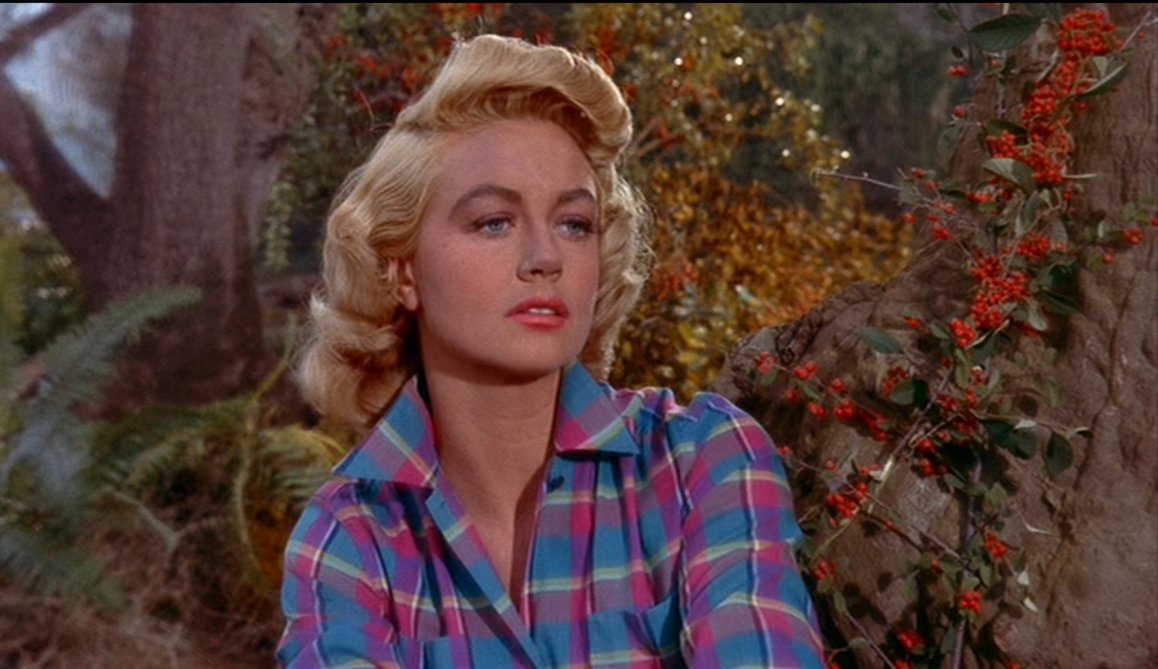 Written on the Wind (Douglas Sirk, 1956)Robert Stack's dick doesn't work and Dorothy Malone plays a shit-stirring queen.