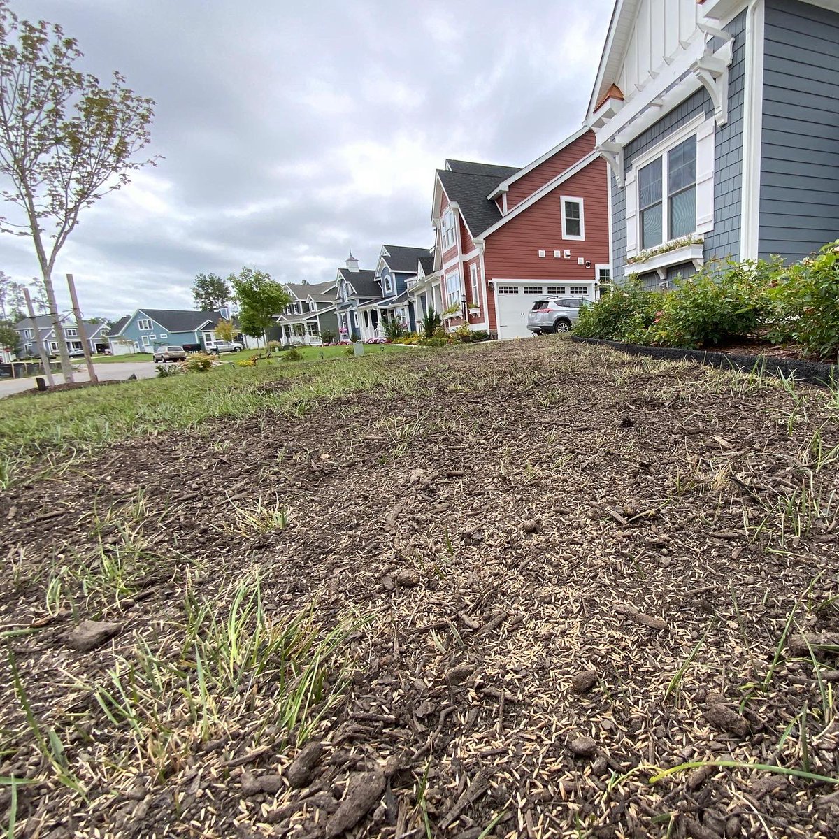 projectgreenva's tweet photo. This property has really turned around over the last 6 weeks.๐ฑ๐๐ฑ#projectgreenva #compost #tallfescue #organicbased #lawncare https://t.co/0QqWmYXRcz