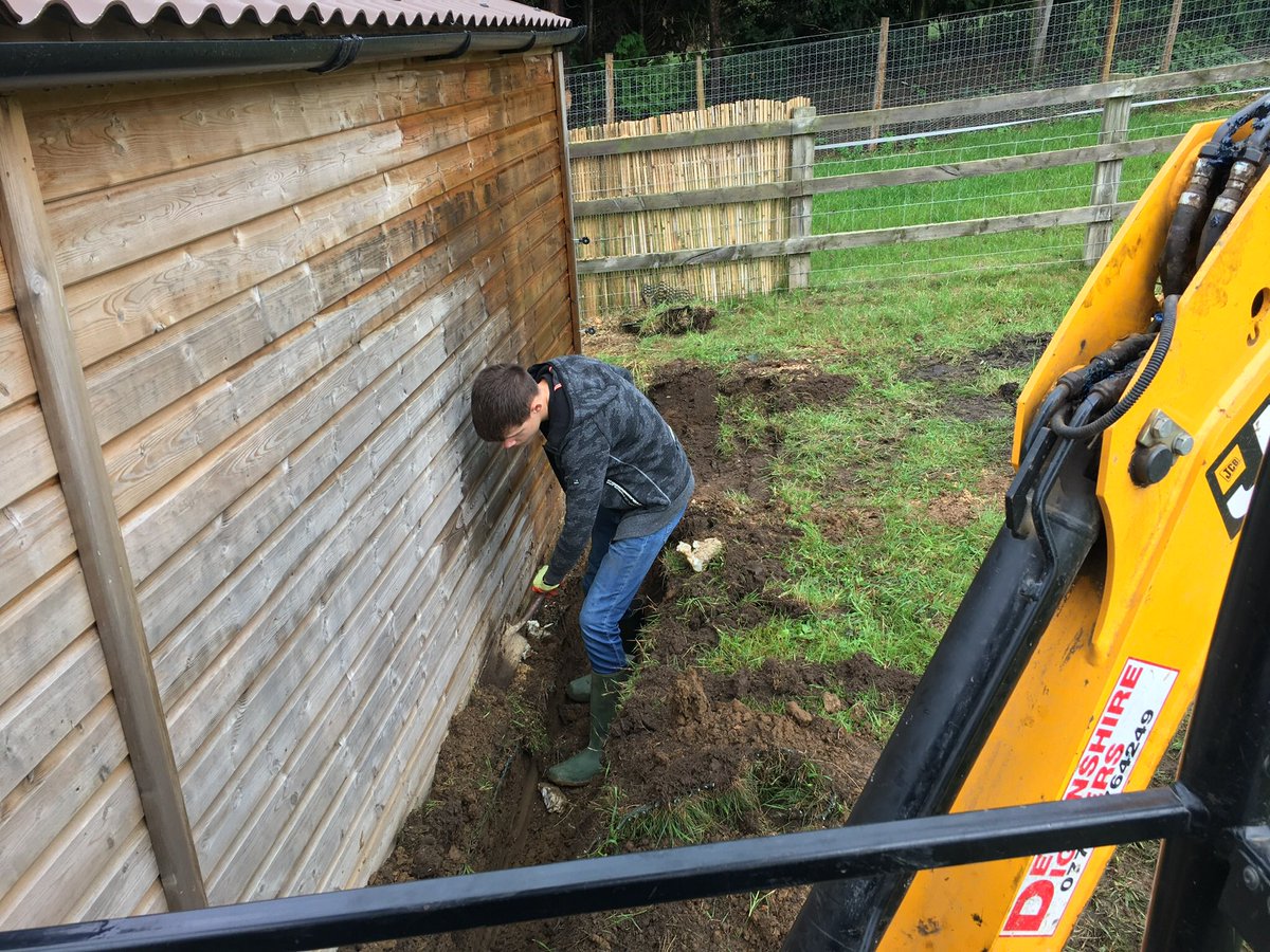 Teacher training today at my sons school. So making good use of him🤷‍♂️