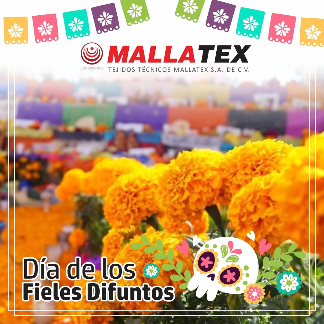 Mallatex's tweet photo. ¡El día de hoy recordamos a nuestros seres queridos que se nos han adelantado!

02 de Noviembre - Día de los fieles difuntos 💀

#mexico #diademuertos #tradicion #mallatex https://t.co/feM5OhL4Ll