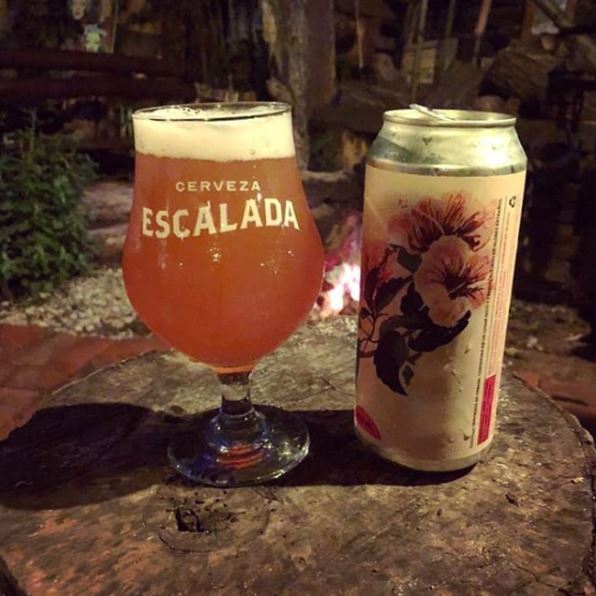 Thecervezas's tweet photo. Una cerveza diferente: Escalada y su versión Hibiscus. Birra de trigo, frutal, liviana y de amargor suave. Bien caribeña, resulta ideal para el calor que empieza a asomar. 

#cerveza #birra #beer #craftbeer #cervezaartesanal #birraartesanal #hibiscus #escalad https://t.co/gtwK7MRi7e