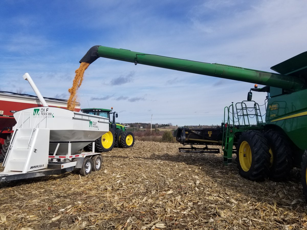 DLFCAN's tweet photo. Test plot in Northumberland County harvested today! 

Can't wait to see the results! 🌽🚜

#corn20 #seedsandscience https://t.co/9tjIQgqaUd